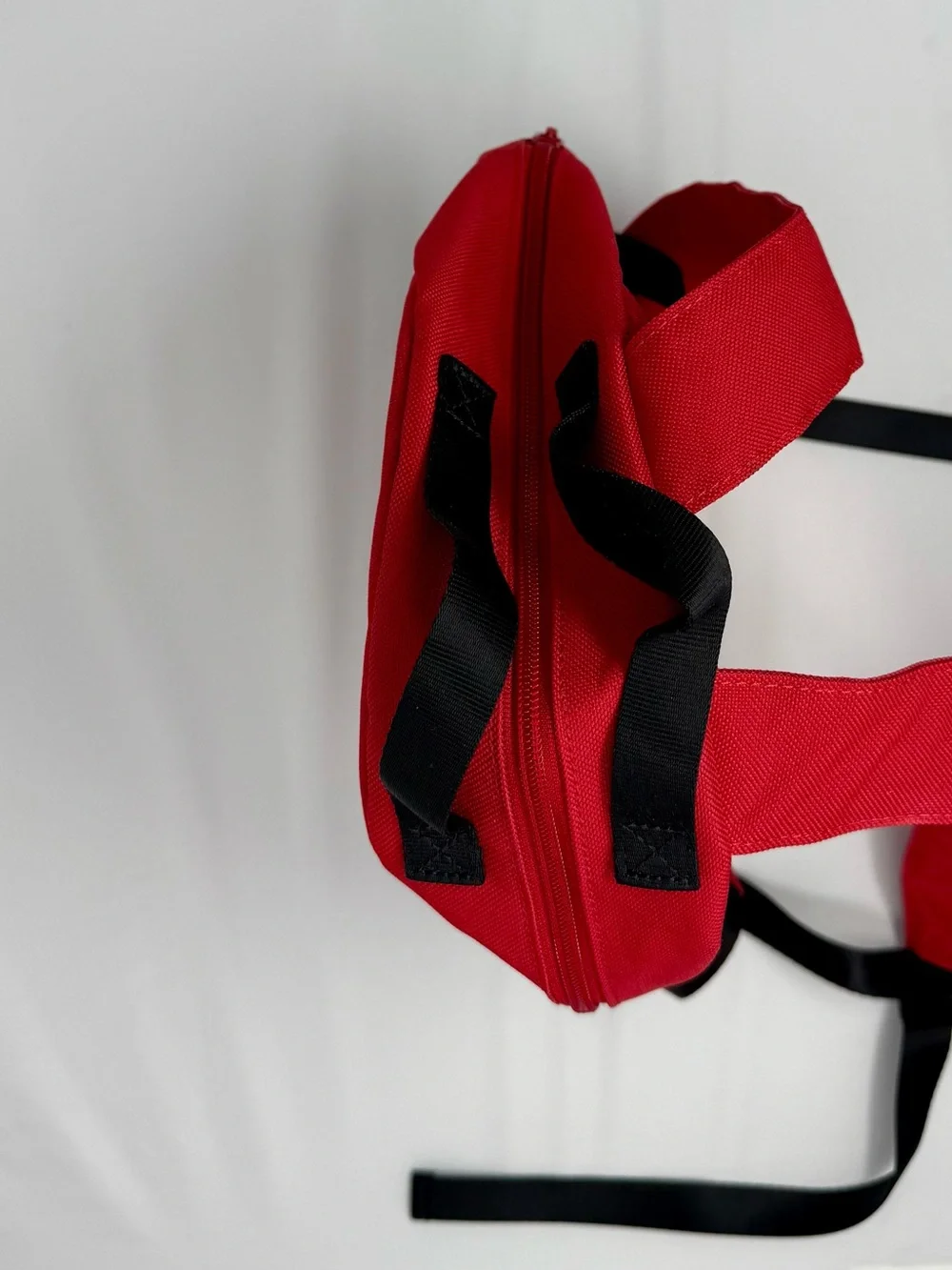 TNA (Aritzia) Mini Backpack - Never Used - Red